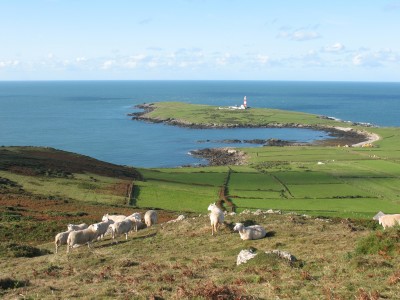 Bardsey - Linda Norris - 2013 Entry.jpg